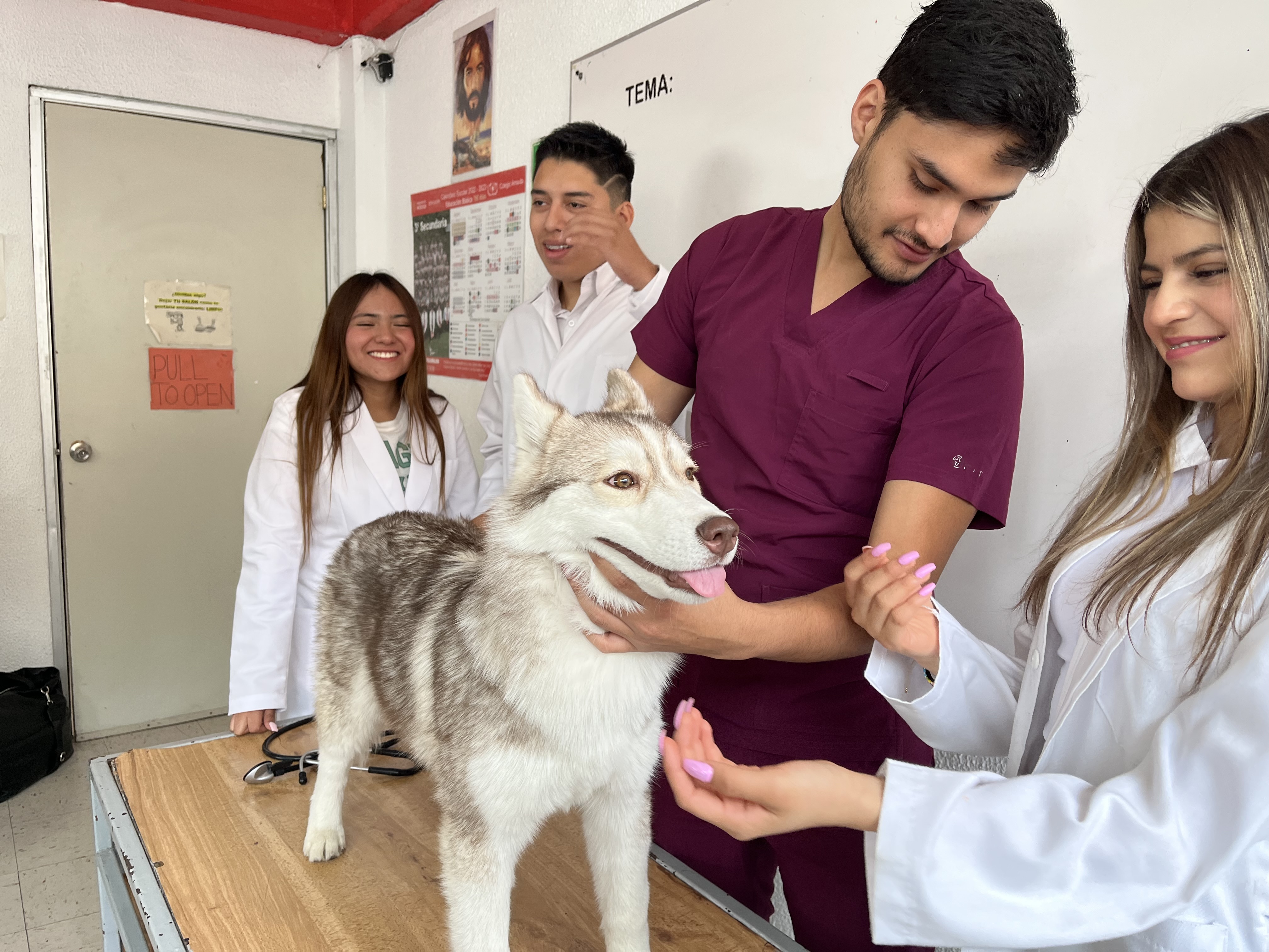 Colegio Amauta - Imagen 1